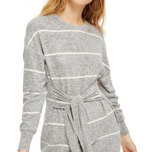 Stripe Cut & Sew Minidress